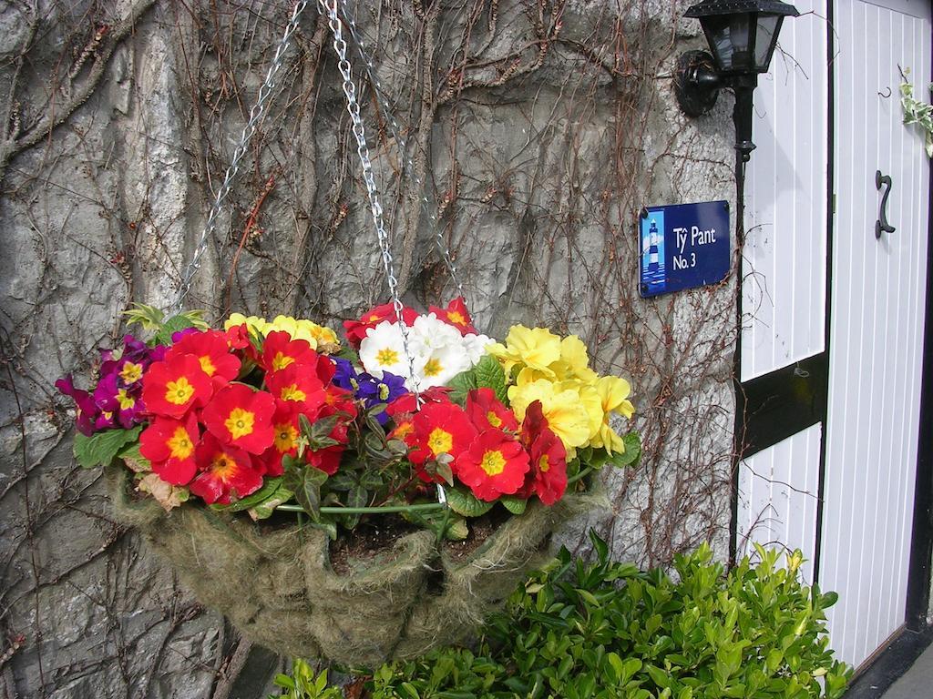 Tros Yr Afon Holiday Cottages And Manor House Beaumaris Room photo