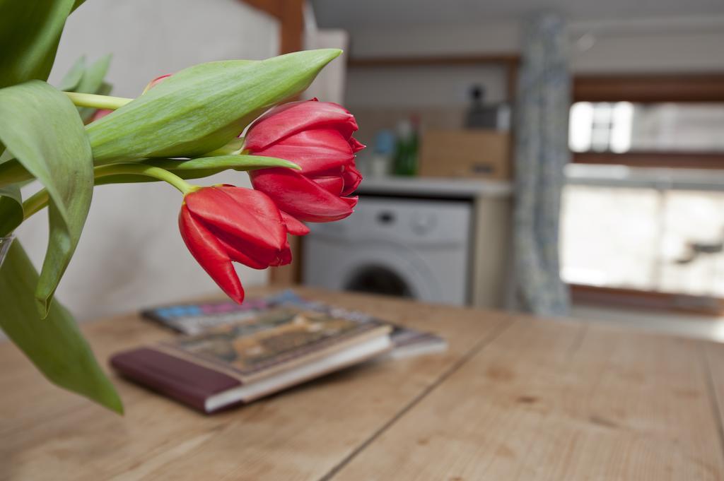 Tros Yr Afon Holiday Cottages And Manor House Beaumaris Room photo